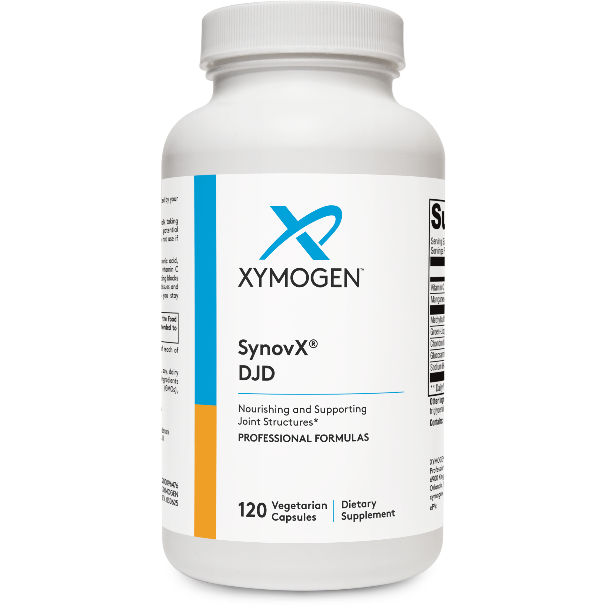 MジュカインEX SR XY #083 GEM MT 10 1ST ED. MジュカインEX SR XY #083 GEM MT 10 1ST ED. MジュカインEX SR XY #